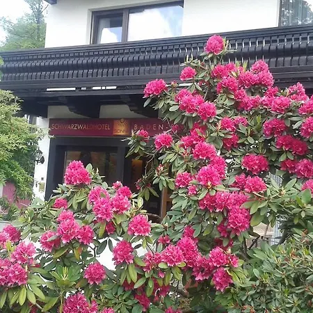 Schwarzwaldhotel Sonne Baden-Baden