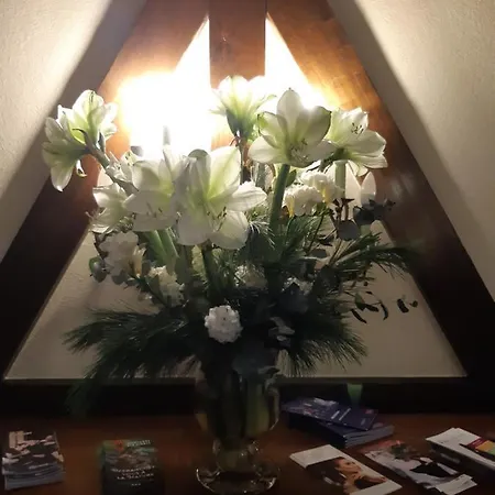 Отель Schwarzwaldhotel Sonne 3*