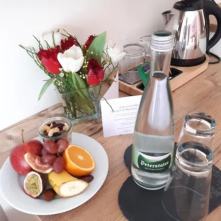 Schwarzwaldhotel Sonne 3*