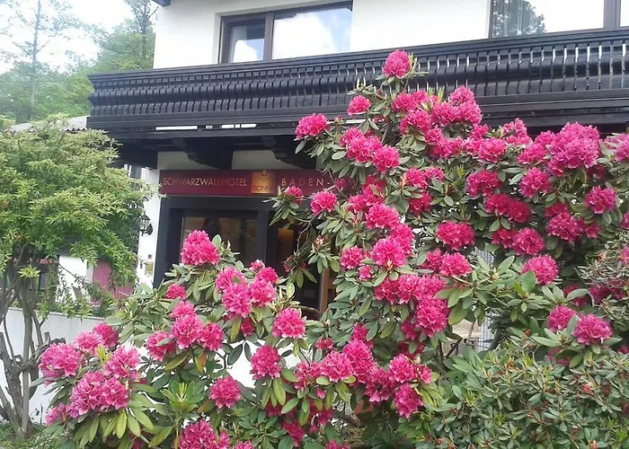 Schwarzwaldhotel Sonne Μπάντεν-Μπάντεν