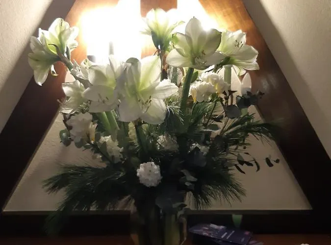 Ξενοδοχείο Schwarzwaldhotel Sonne 3*